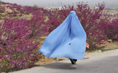 Le donne afghane, una speranza tradita. I ritratti fotografici di Carla Dazzi