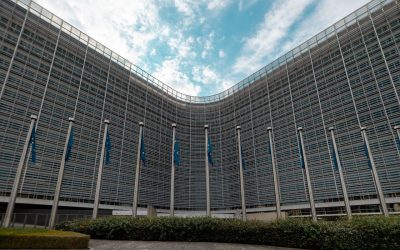 Seminario interattivo:  “Capire e dialogare con l’UE: seminario per attivistə per far sentire la propria voce in UE” – Seconda Edizione