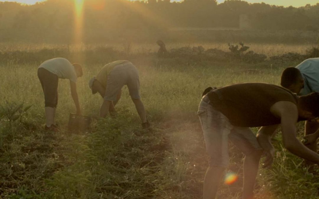 Docufilm “La Restanza” di Alessandra Coppola