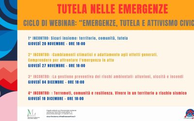 Progetto Sicuri Insieme – Ciclo di webinar: “emergenze, tutela e attivismo civico”